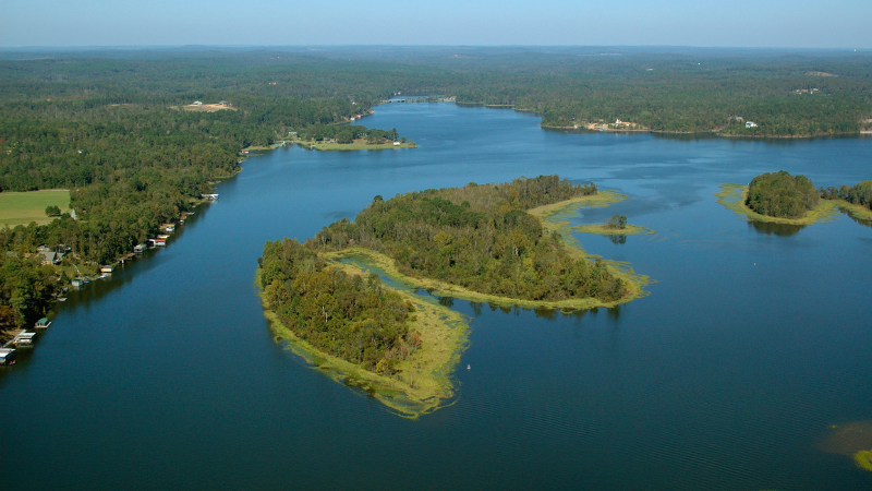 Best Lakes and Parks for Summer Recreation Near Tuscaloosa | Hamner Real Estate